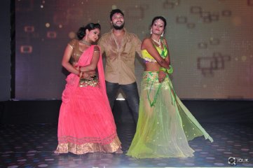 Sher Movie Audio Launch